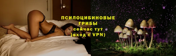 крисы Вязьма