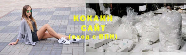крисы Вязьма