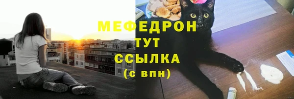 прущий лед Вяземский