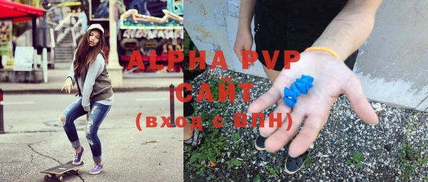 крисы Вязьма