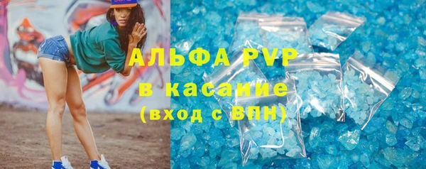 крисы Вязьма