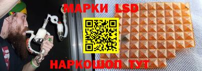 стаф Заводоуковск