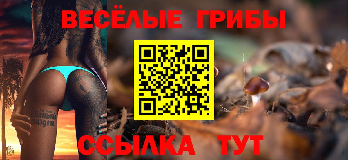 Псилоцибиновые грибы Psilocybine cubensis  Вход с VPN  Мариинск 