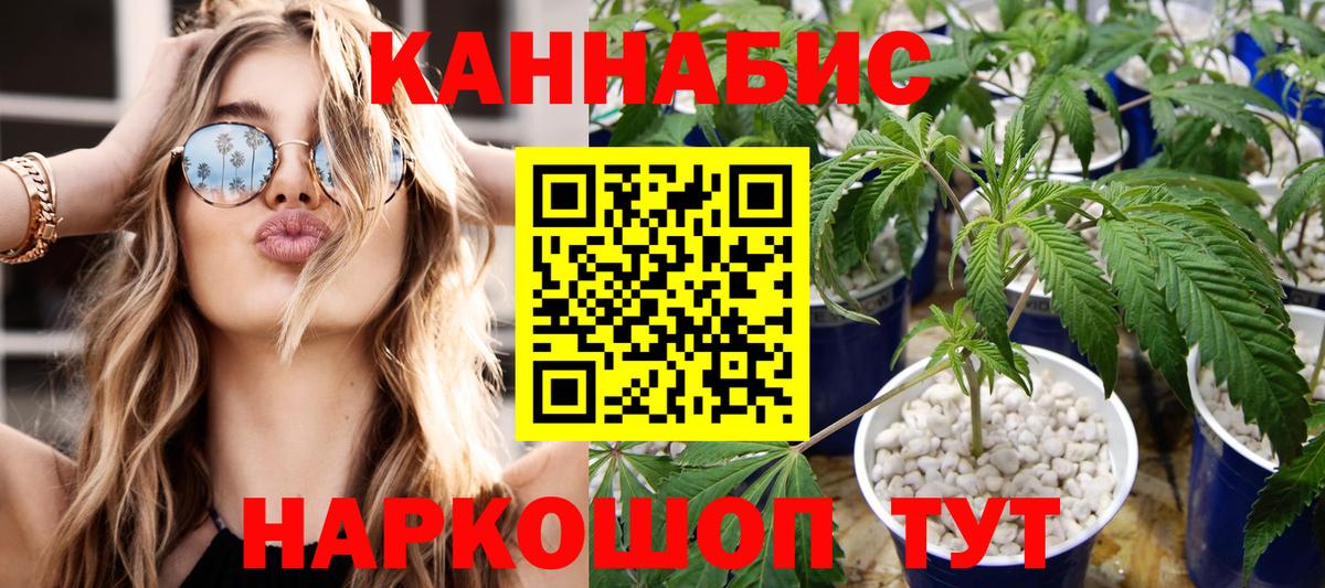 Конопля семена  Вход с VPN  Бошки марихуана Amnesia  Мариинск 